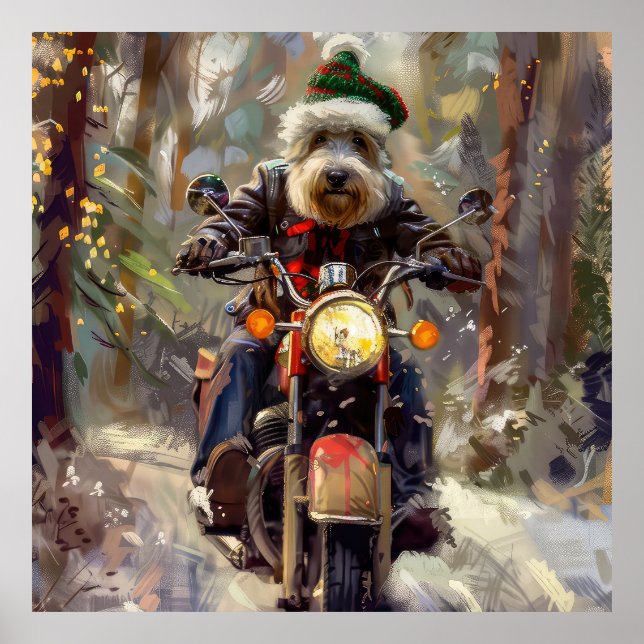 Poster Bernedoodle Dog Andando na Motocicleta Natal (Frente)