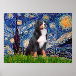 Pôster Bernês - Starry Night