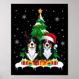 Poster Bernese Mountain Dog Árvore de Natal Papais noeis