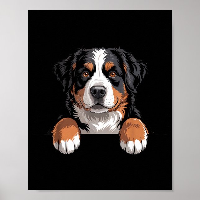 Poster Bernese Mountain Dog Funny Peeking Cket Berner Pup (Frente)