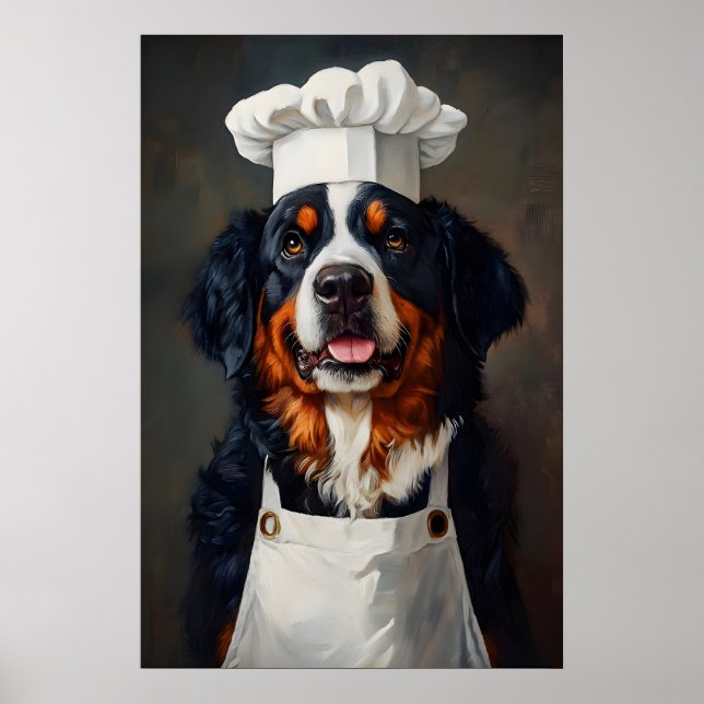 Poster Bernese Mountain Dog In Chefs Hat Poster, Pet (Frente)