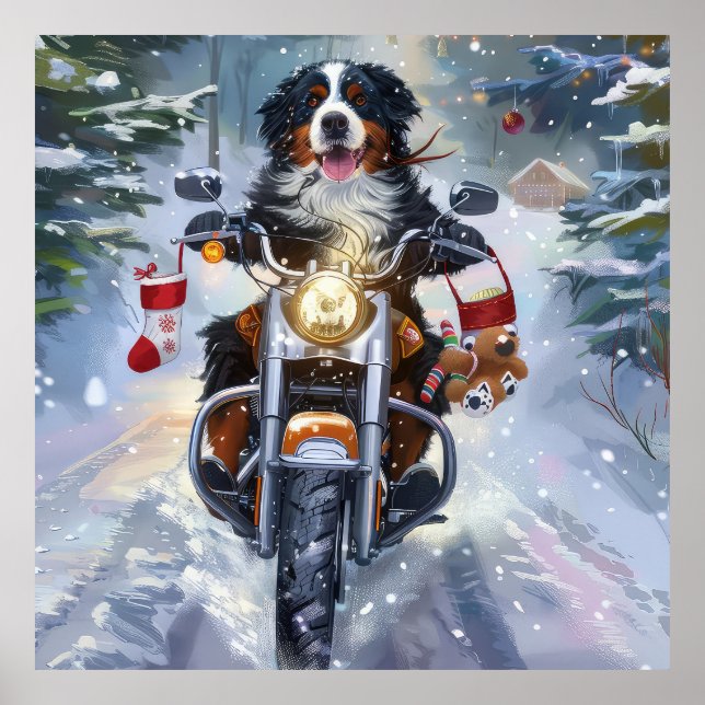 Poster Bernese Mountain Dog no natal (Frente)