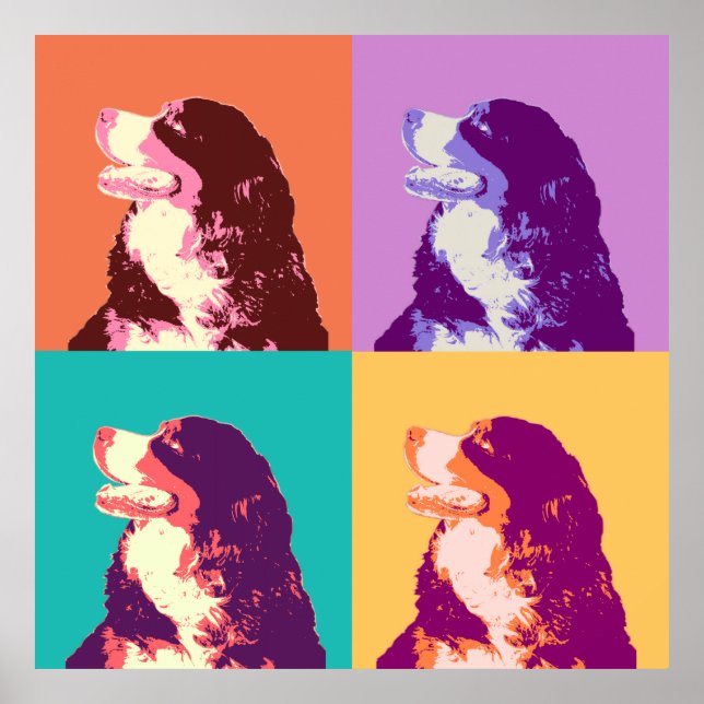 Pôster Bernese Mountain Dog Pop Art (Frente)