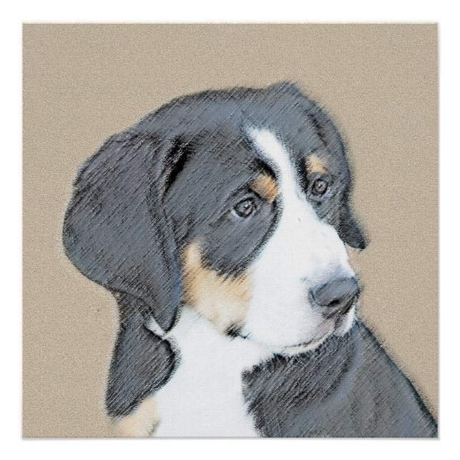 Pôster Bernese Mountain Dog Puppy Painting - Arte Origina (Frente)