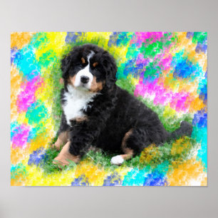 Poster Bernese Mountain Dog Watercolor Pintura