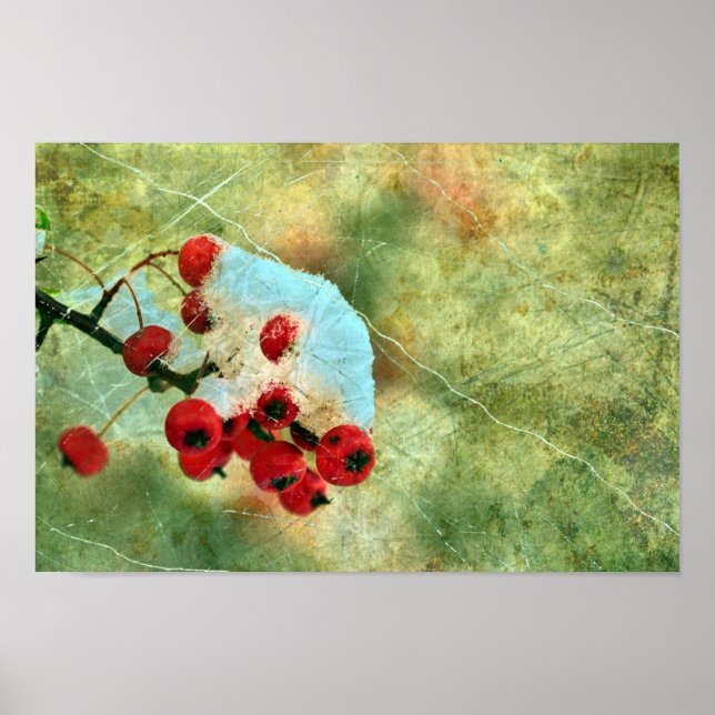 Pôster Berries (Frente)