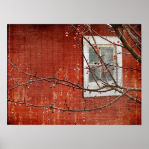 Poster Berries e Barn