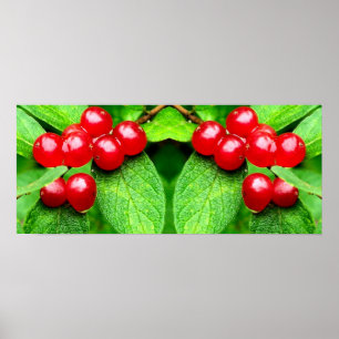 Poster Berries vermelhos com Abstrato de espelhamento do 
