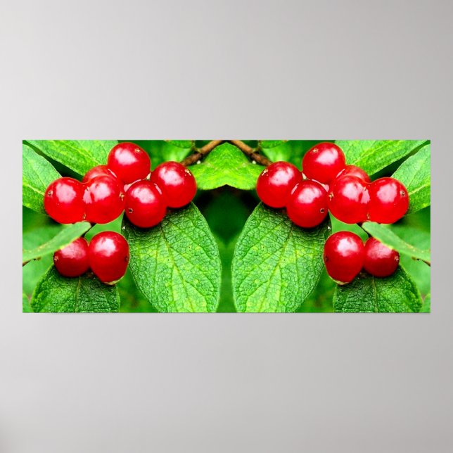 Poster Berries vermelhos com Abstrato de espelhamento do  (Frente)