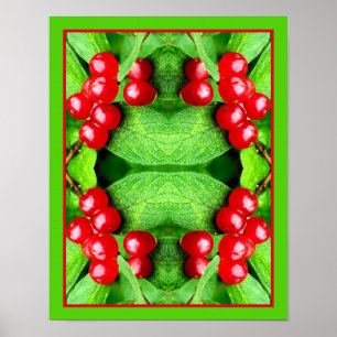 Poster Berries vermelhos com Raindrots Mirror Abstrato Na