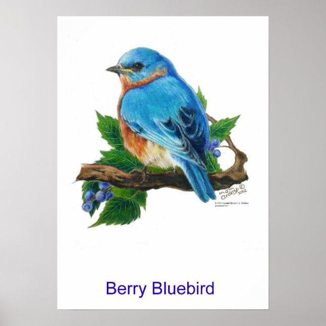 Pôster Berry Bluebird (Frente)