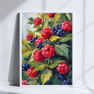 Poster Berry Bush Raspberry Blackberry Fruta