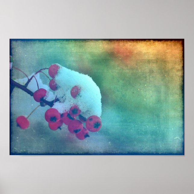 Poster Berry Cold (Frente)