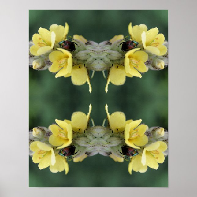 Poster Besouro Na Abstrato De Flor Mullein Selvagem (Frente)
