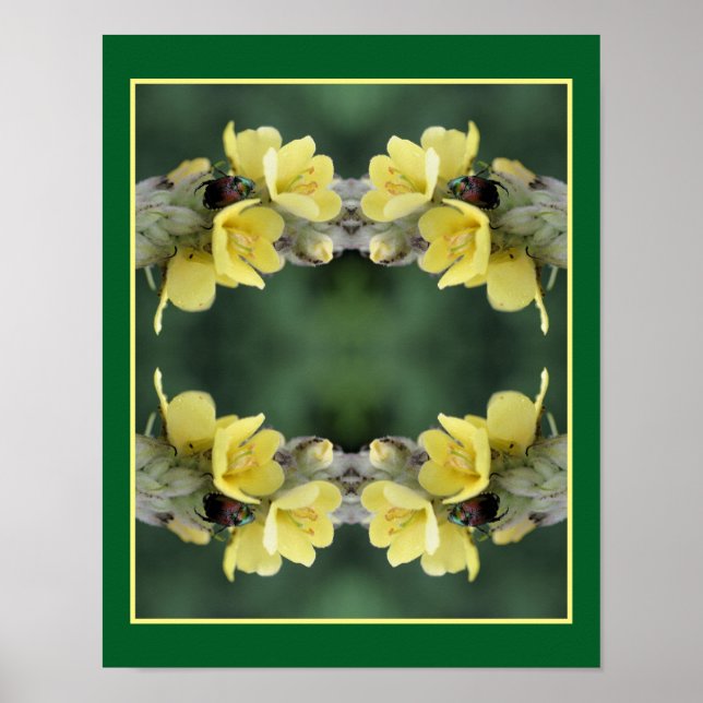 Poster Besouro Na Abstrato De Flor Mullein Selvagem (Frente)