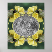 Besouro Na Flor Mullein Selvagem Adicionar Sua Fot