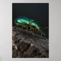 Besouro Verde Metálico em Arte de Parede de Rocha