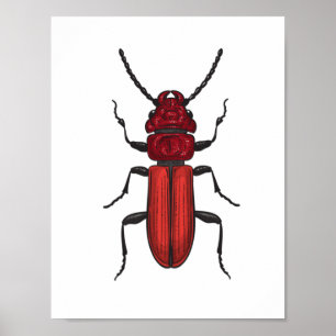 Poster Besouro-vermelho