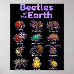 Poster Besouros Da Terra Insetos Bugs Fofos Kawaii
