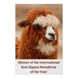 Pôster Best Alpaca Monobrow