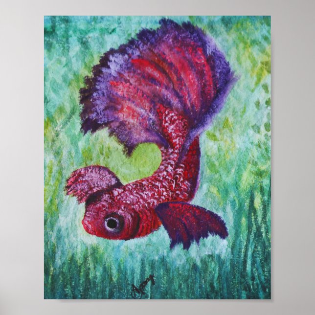 Poster Betta aquarela (Frente)