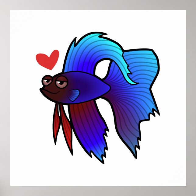 Pôster Betta Fish / Siamês lutando amor aos peixes (Frente)