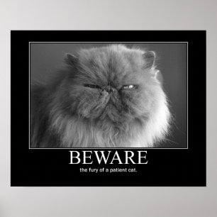 Poster Beware a fúria de uns trabalhos de arte pacientes