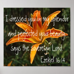 Pôster bíblia do tigre Lily versículo Ezekiel 16:14