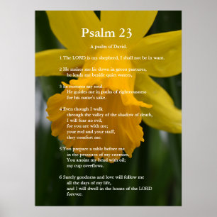 Pôster Bíblia Salm 23 - Versões de script. daffodil amare