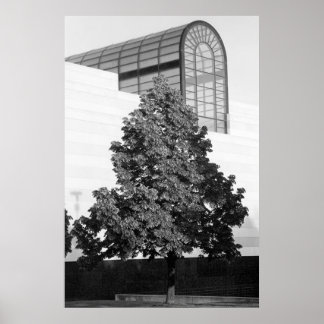 Pôster Biblioteca do Michigan e Centro Histórico