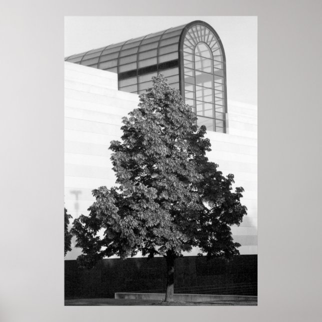 Pôster Biblioteca do Michigan e Centro Histórico (Frente)