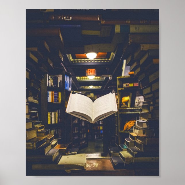 Poster Biblioteca Livros Prateleiras Abrir Livro Lido (Frente)