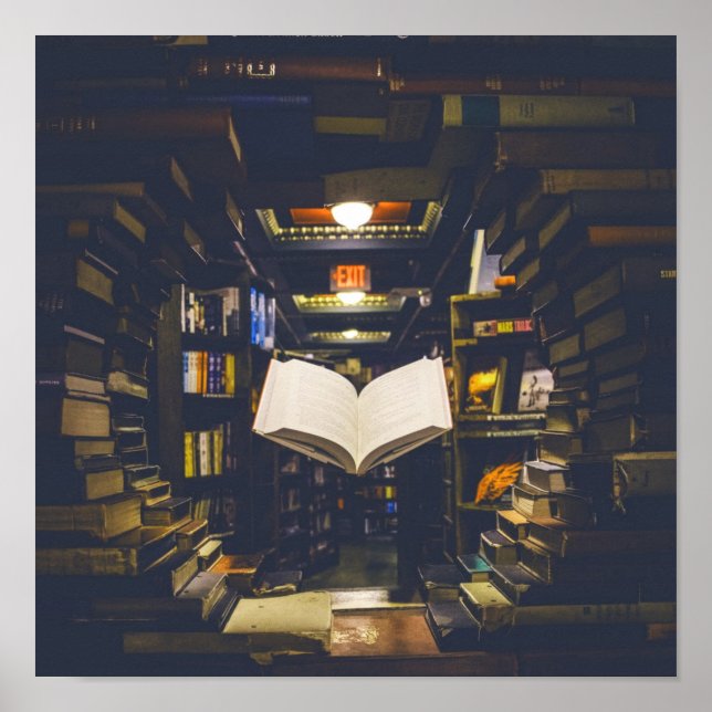 Poster Biblioteca Livros Prateleiras Abrir Livro Lido (Frente)