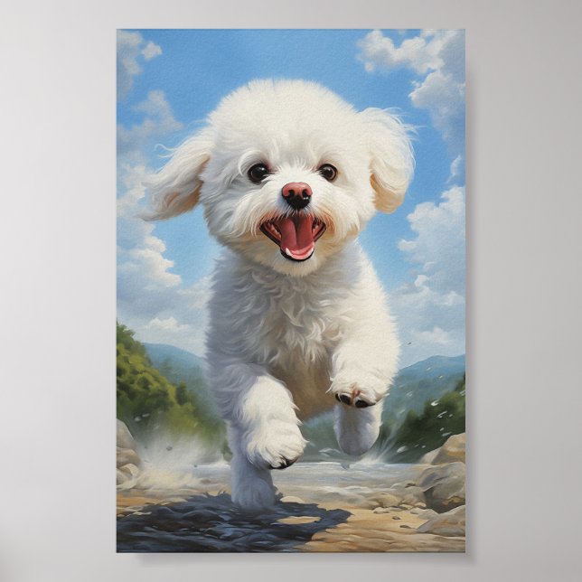 Poster Bichon Frise (Frente)