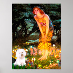 Pôster Bichon Frise 1 - MeidEve