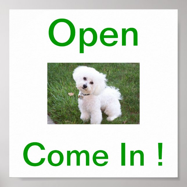 Poster Bichon Frise Dog - Sinal Aberto (Frente)