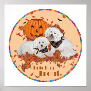 Pôster Bichon Frise Halloween