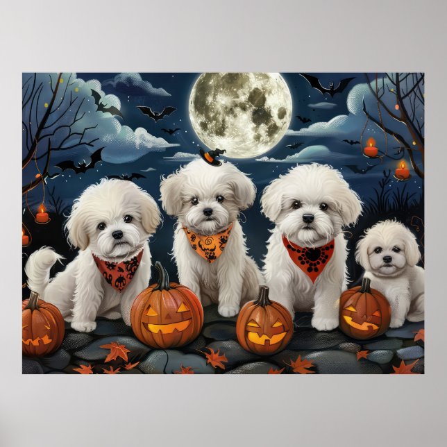 Poster Bichon Frise Halloween Assustador (Frente)