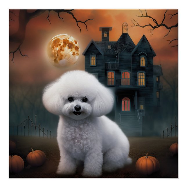 Pôster Bichon Frise Halloween Assustador (Frente)