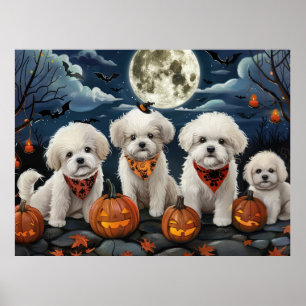 Poster Bichon Frise Halloween Spooky