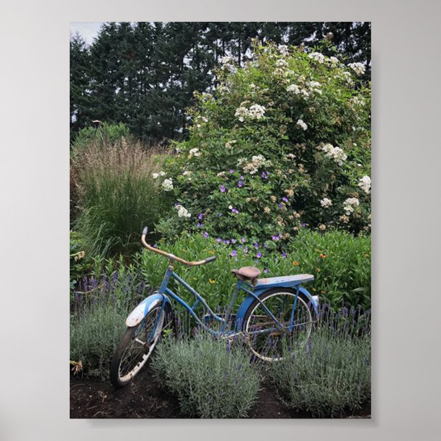 Poster Bicicleta Vintage em Jardim (Frente)