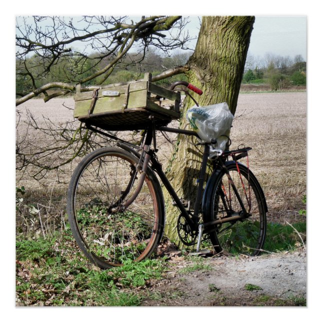 PÔSTER BICICLO (Frente)