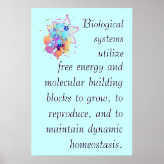 Pôster Bicologia AP Grande Ideia 2