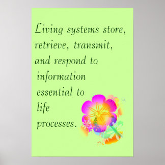 Pôster Bicologia AP Grande Ideia 3