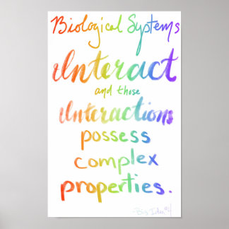 Poster Bicologia AP Grande Ideia Quatro