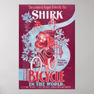 Poster Bicycle In The World