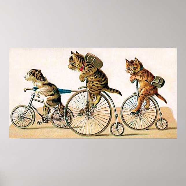 Poster Bicycle Ride (Frente)