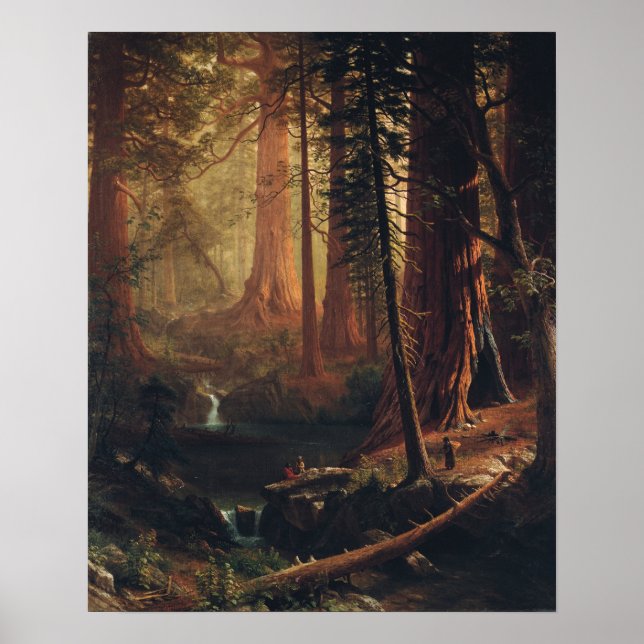 Poster Bierstadt - Árvores Gigantes de Redwood da Califór (Frente)