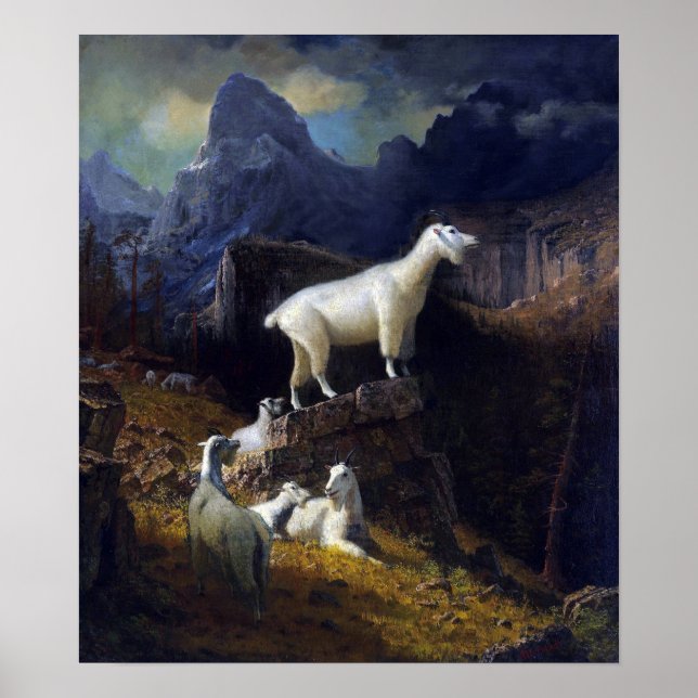 Poster Bierstadt - Cabras das Montanhas Rochosas (Frente)