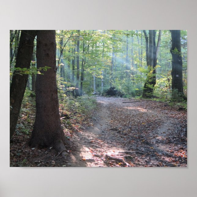 Pôster Bieszczady Forest Light (Frente)